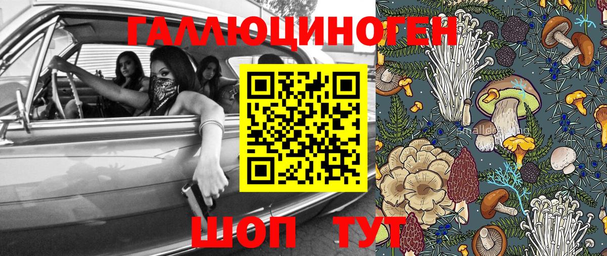 Пушкино  Псилоцибиновые грибы Cubensis  Псилоцибиновые грибы ЛСД  Вход с VPN 